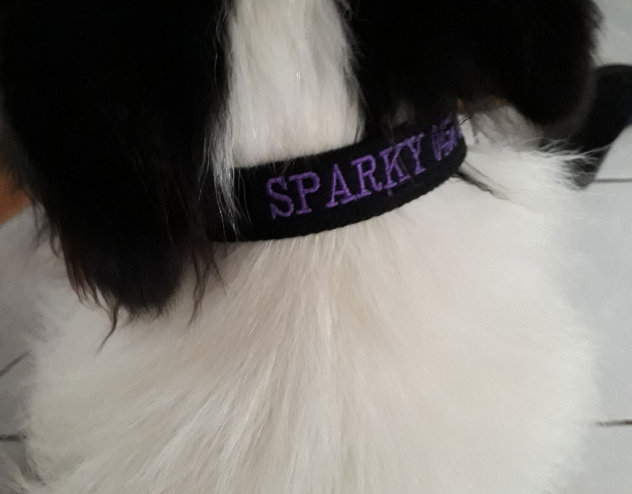 Embroidered Dog Collars. Custom Dog Collars. Personalised dog collars