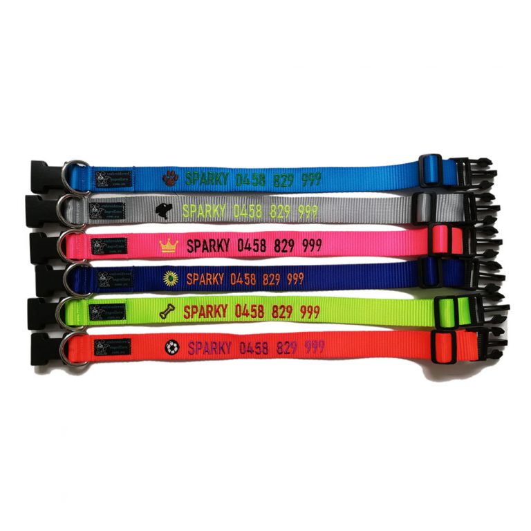 Pet Collar: Neon 25mm - Embroidered Dog Collars